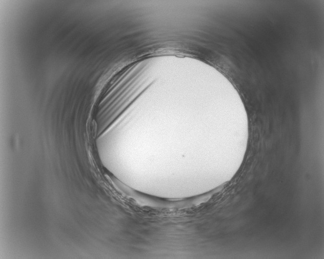 X0000051270289200507082250