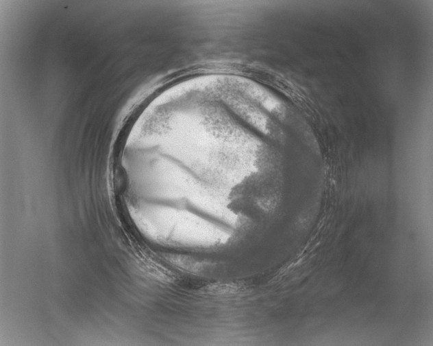 X0000051270294200507082250