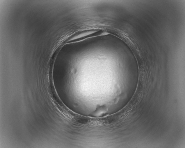 X0000051270299200507082250