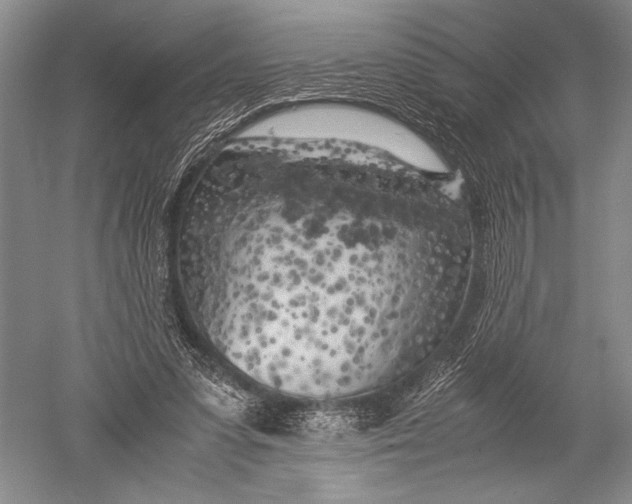 X0000051270303200507082250