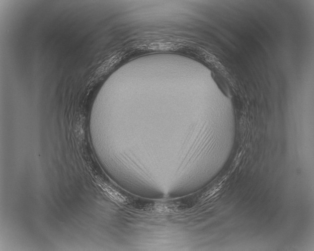 X0000051270305200507082250