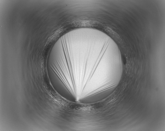 X0000051270306200507082250