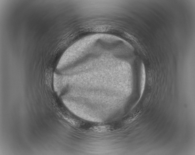 X0000051270307200507082250