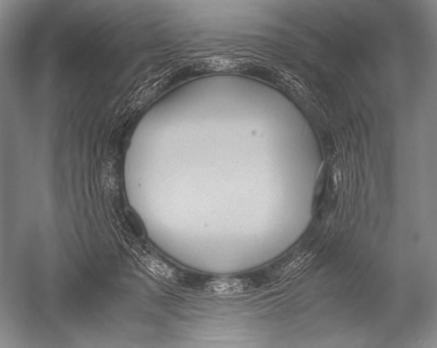X0000051270317200507082250