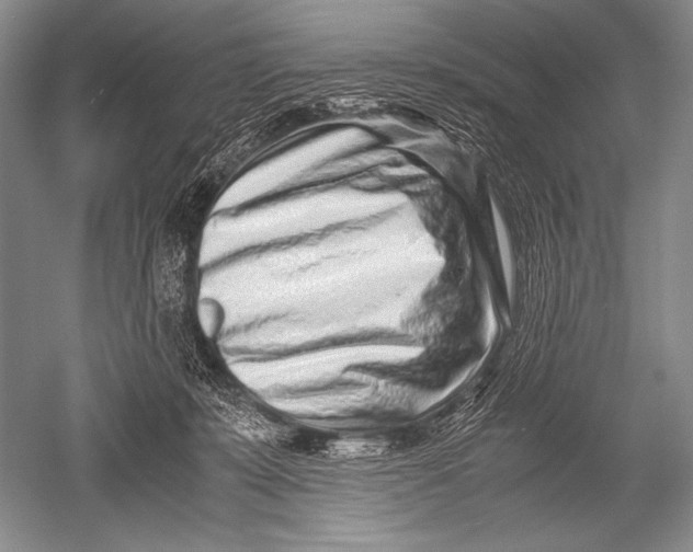 X0000051270319200507082250