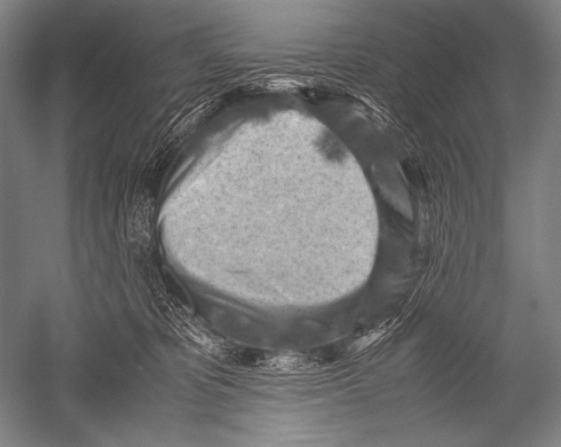 X0000051270325200507082250