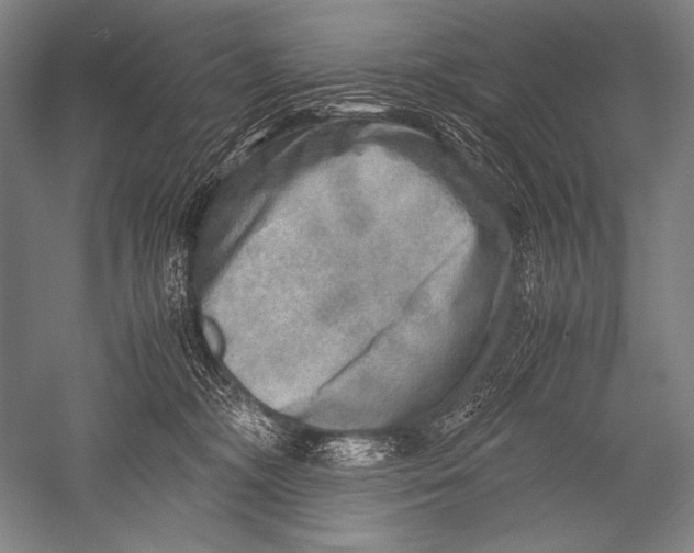 X0000051270326200507082250