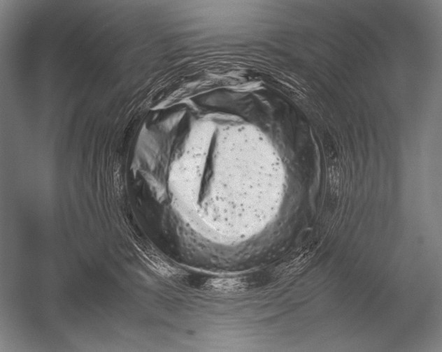 X0000051270327200507082249