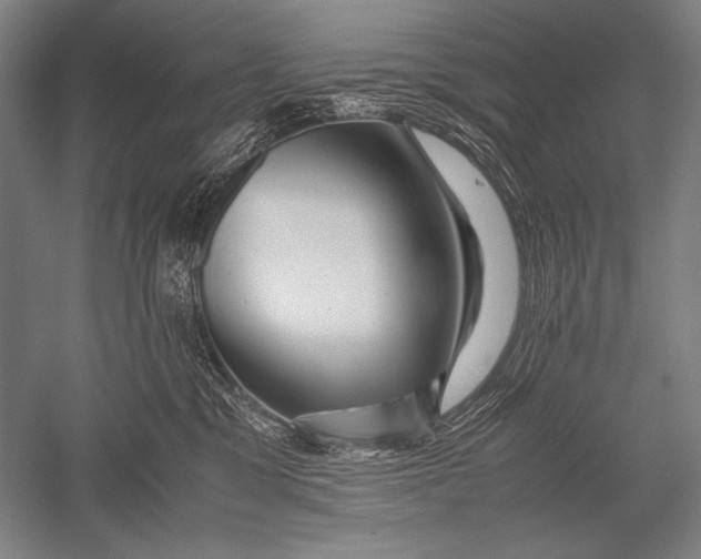 X0000051270329200507082249
