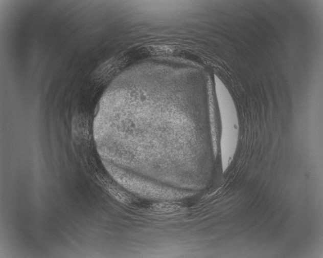 X0000051270331200507082249