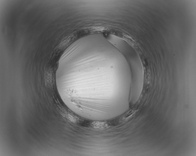 X0000051270333200507082249