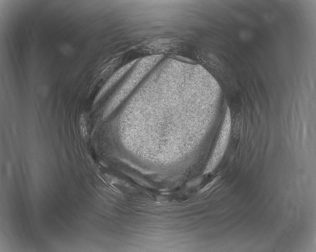 X0000051270335200507082249