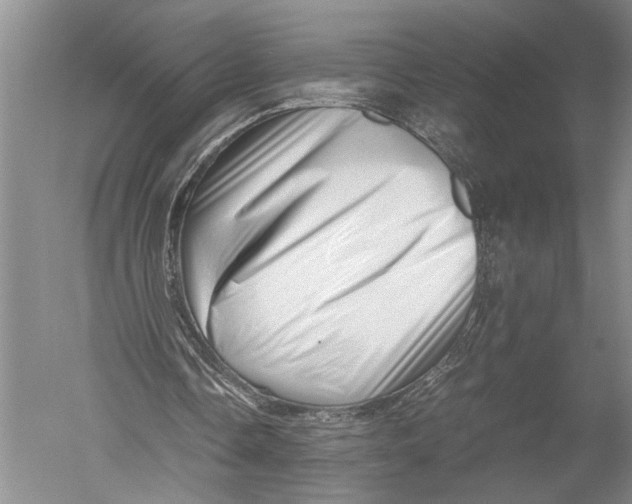 X0000051270338200507082249