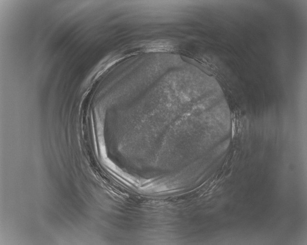 X0000051270339200507082249