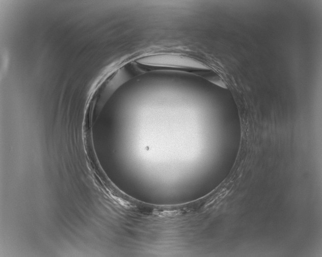 X0000051270340200507082249