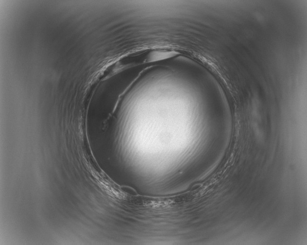 X0000051270345200507082249