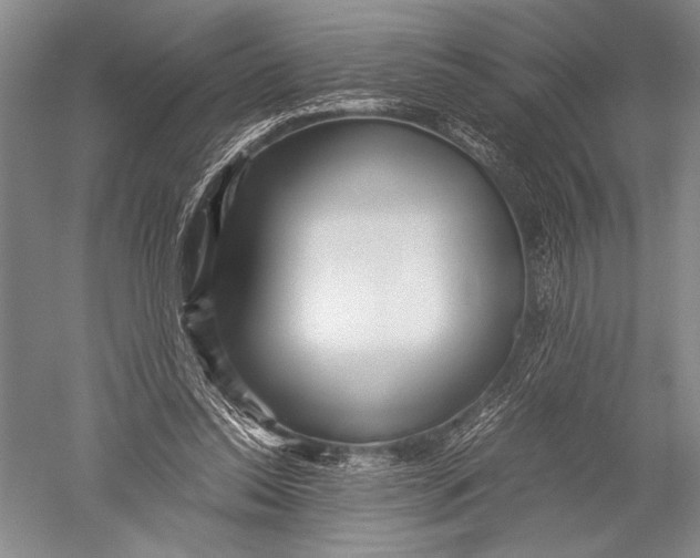 X0000051270350200507082249