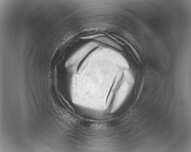 X0000051270354200507082249