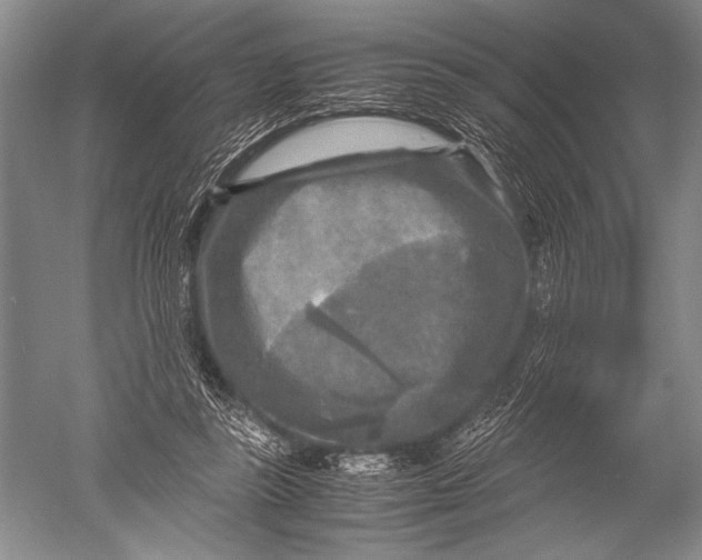 X0000051270355200507082249