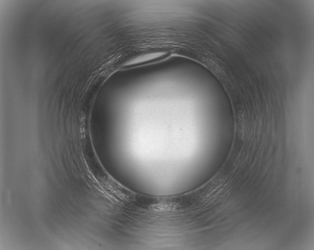 X0000051270356200507082249
