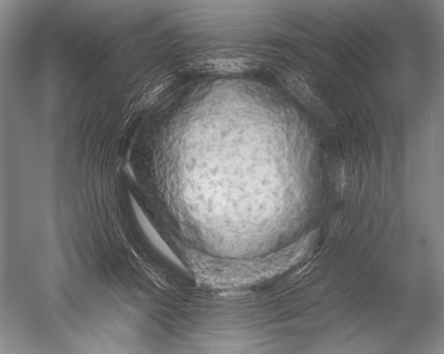 X0000051270360200507082249