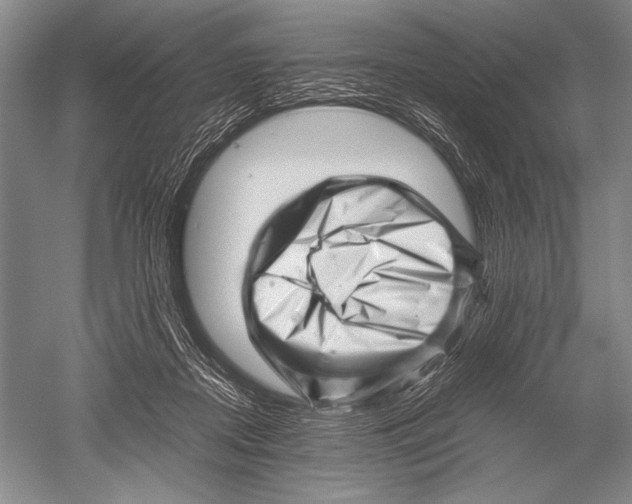 X0000051270362200507082249