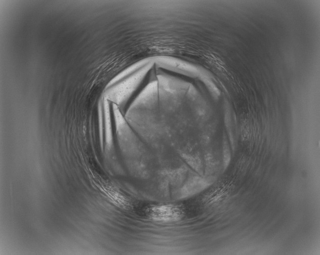 X0000051270365200507082249