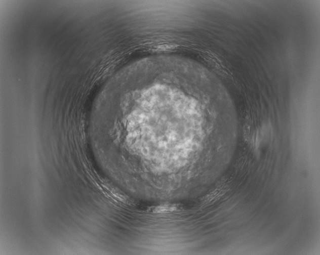 X0000051270366200507082249