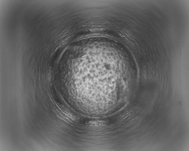 X0000051270367200507082249