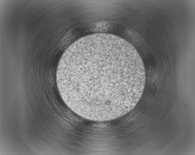 X0000051270370200507082249