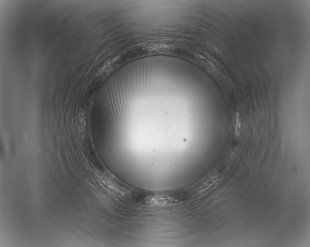 X0000051270372200507082249