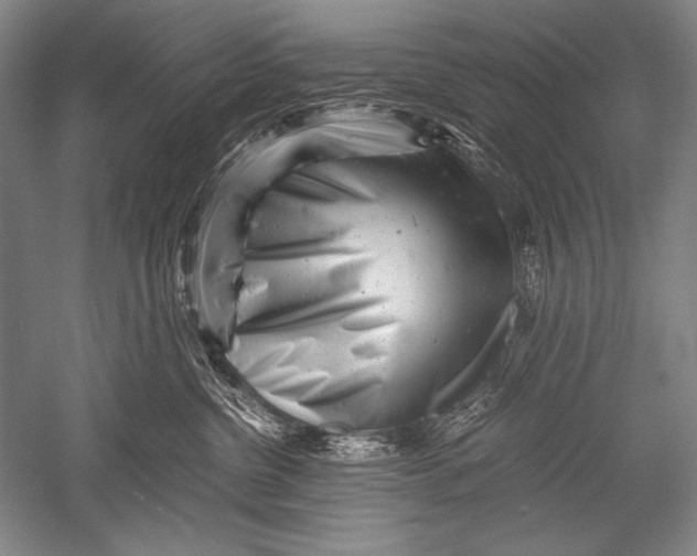 X0000051270380200507082249
