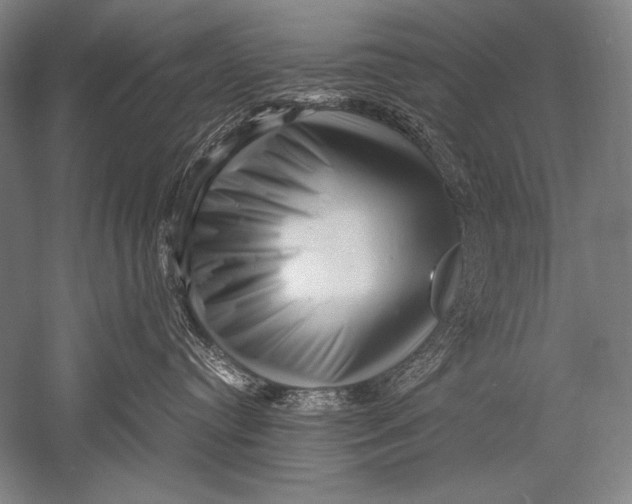 X0000051270384200507082249