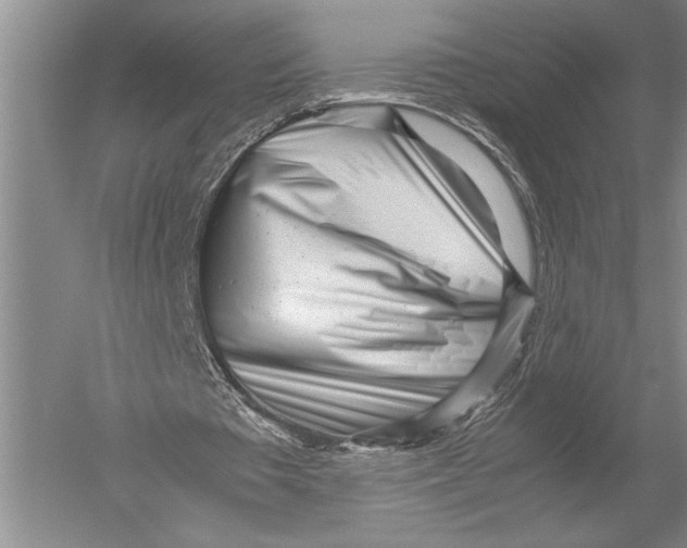 X0000051270385200507082249