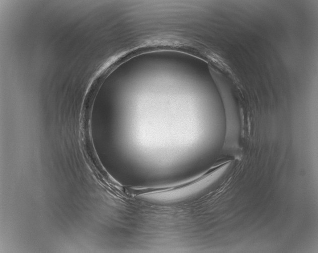 X0000051270388200507082248