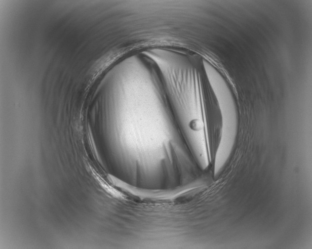 X0000051270389200507082248