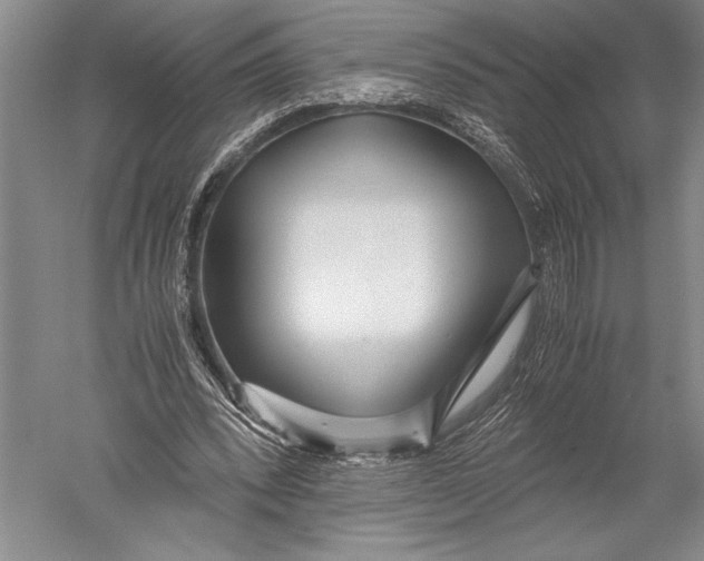 X0000051270392200507082248