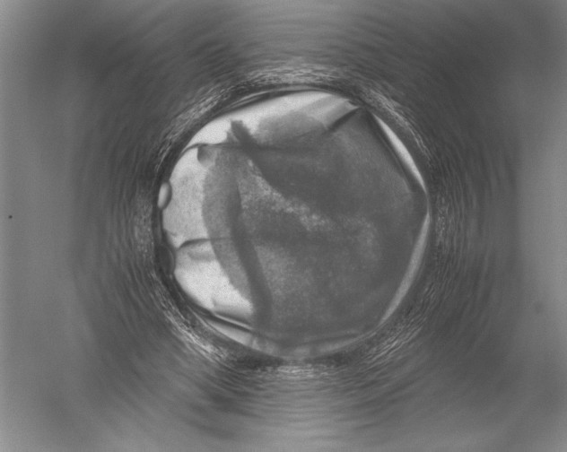 X0000051270394200507082248