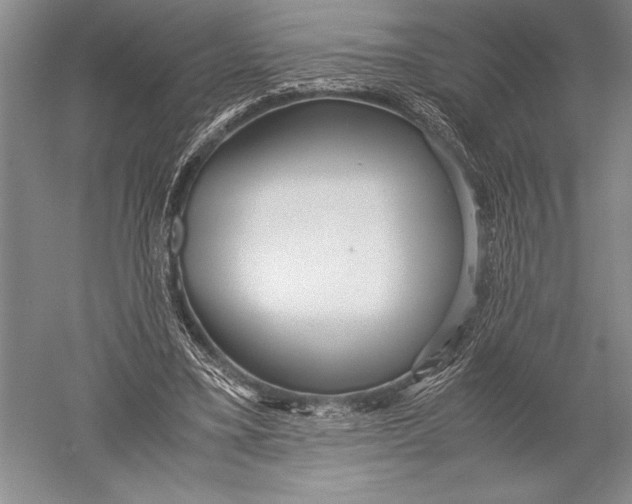 X0000051270395200507082248