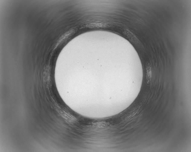 X0000051270396200507082248