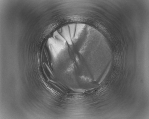 X0000051270398200507082248