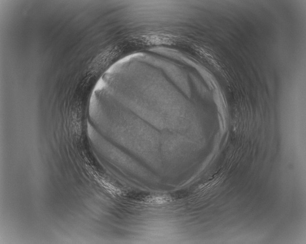X0000051270402200507082248