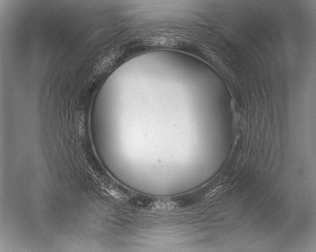 X0000051270403200507082248