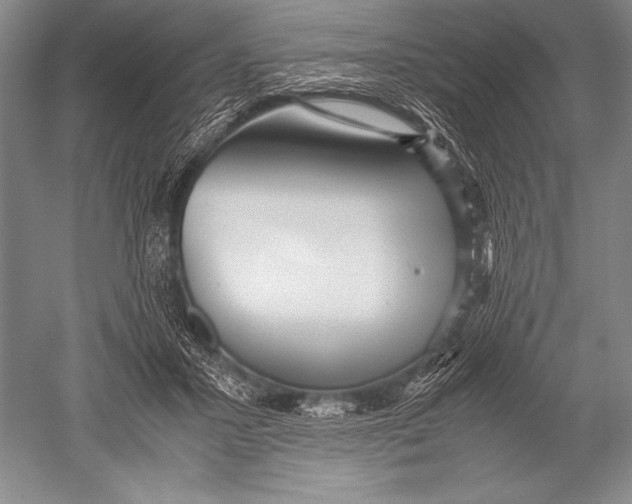 X0000051270407200507082248
