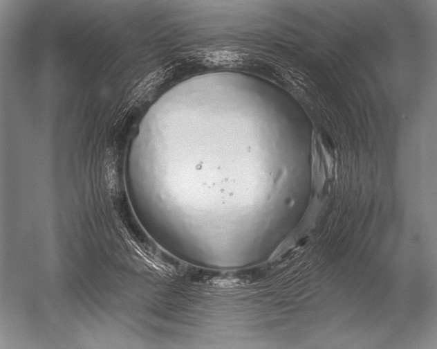 X0000051270408200507082248
