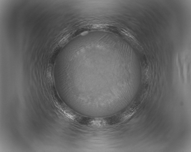 X0000051270415200507082248