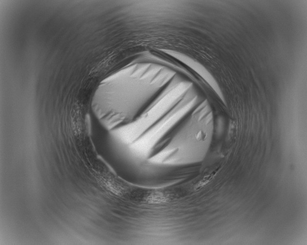 X0000051270416200507082248