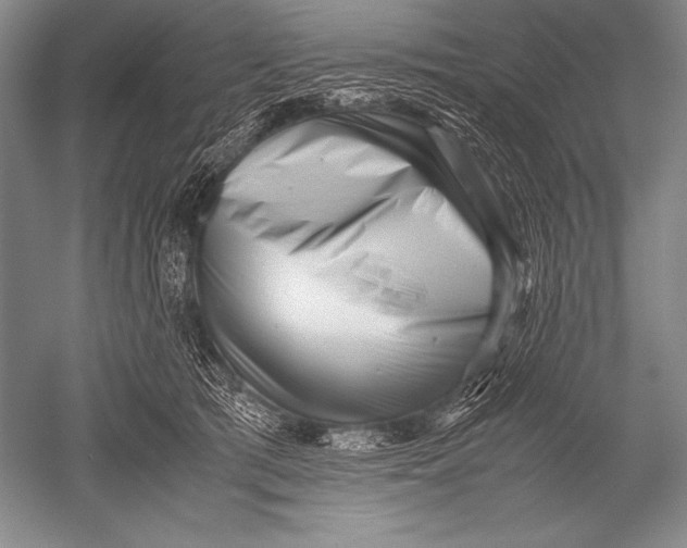 X0000051270417200507082248