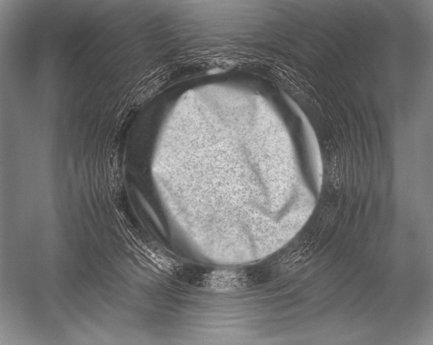 X0000051270418200507082248