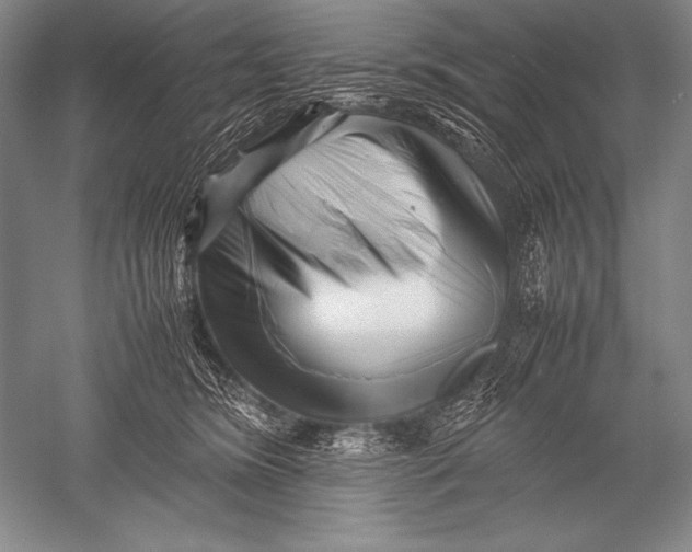 X0000051270420200507082248